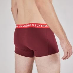 Heren Alpenadonis Boxer -Online website voor ondergoed 1117212 003 pic3