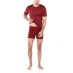 Icebreaker Heren Anatomica Boxer -Online website voor ondergoed iview 1026958 180 pic11