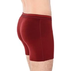 Icebreaker Heren Anatomica Boxer -Online website voor ondergoed iview 1026958 180 pic9