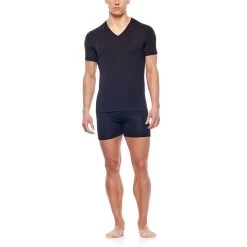 Icebreaker Heren Anatomica T-shirt -Online website voor ondergoed iview 1033222 011 pic4