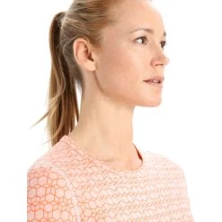 Icebreaker Dames 250 Vertex Alpine Geo Longsleeve 9 Icebreaker Dames 250 Vertex Alpine Geo Longsleeve -Online website voor ondergoed iview 1106465 006 pic2